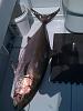 Fishing Trip-109.jpg
