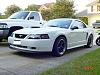 FS: 2001 silverado, 2001 mustang, 2005 GSXR streetbike!!!!-taylor-pics-002.jpg
