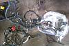 WTB complete 03-05 engine harness-harness.jpg