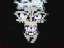 crazysquid's Avatar