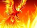 Rise of the Phoenix's Avatar