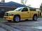 99LS1Bird